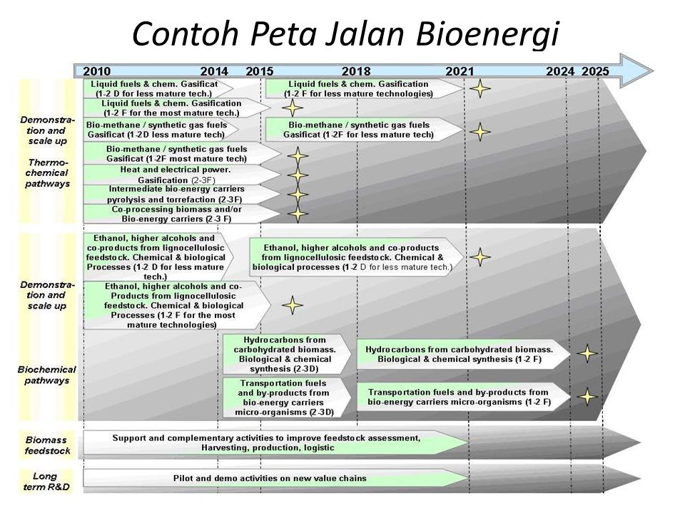 Contoh Peta Jalan Bioenergi