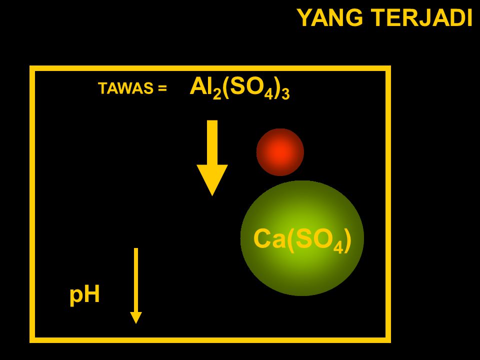 YANG TERJADI Al2(SO4)3 TAWAS = Al(H2O6)3+ (SO4)2- Ca(SO4) pH