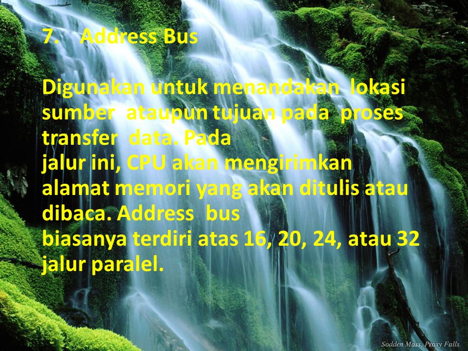Address Bus
