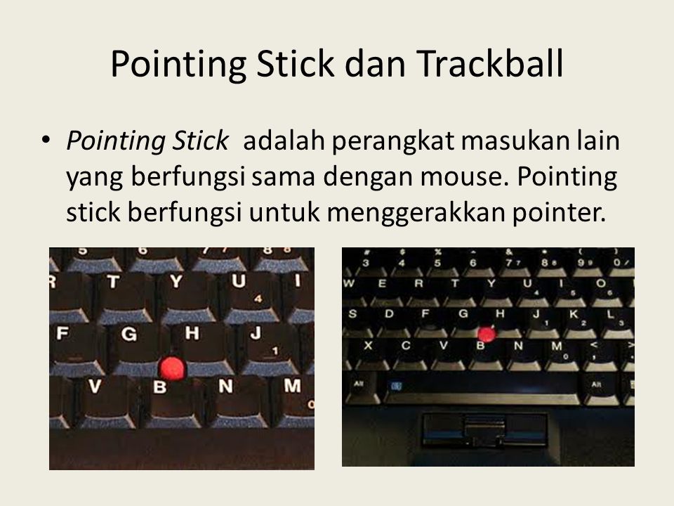 Pointing Stick dan Trackball