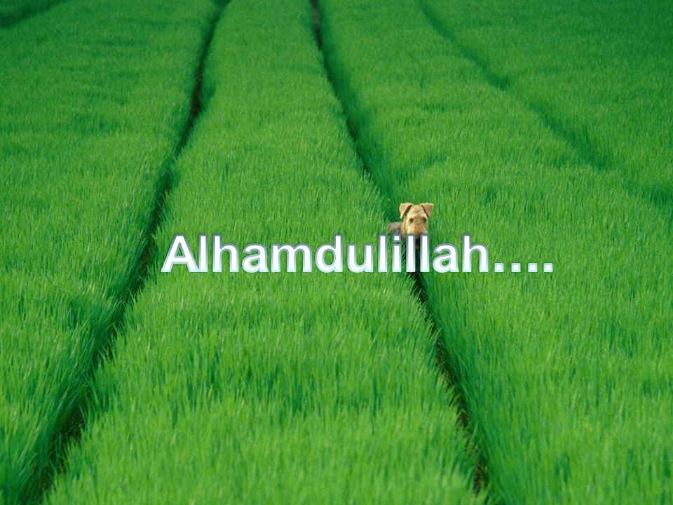 Alhamdulillah….
