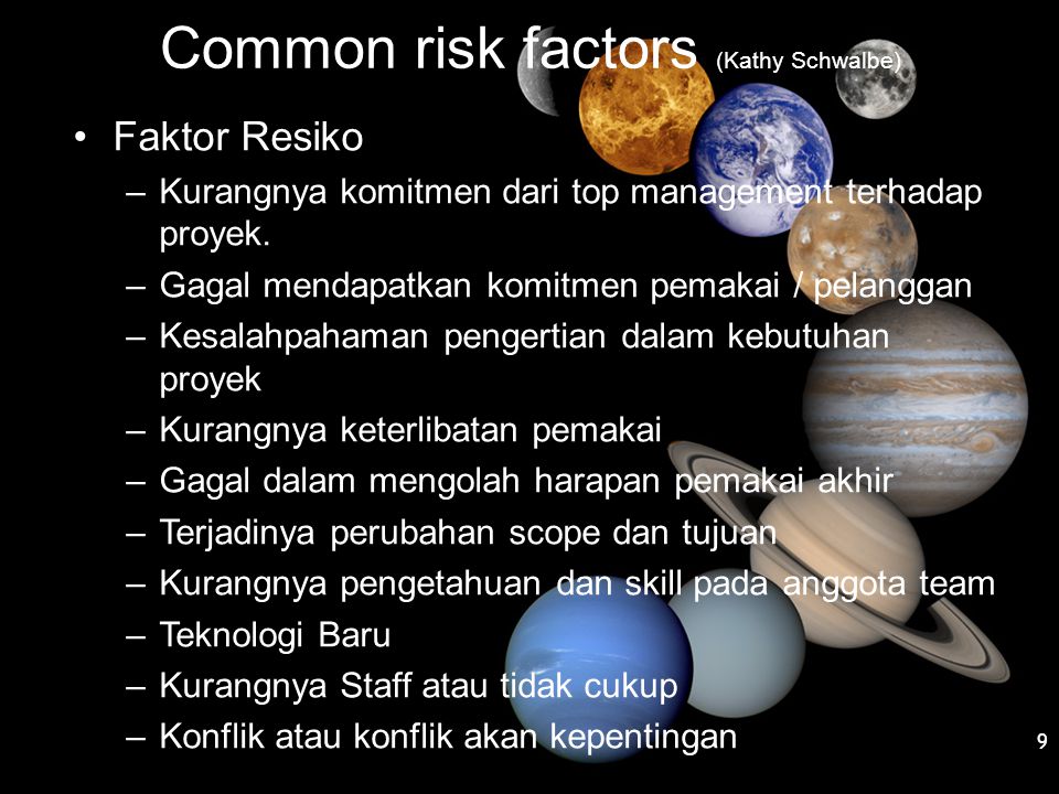 Common risk factors (Kathy Schwalbe)