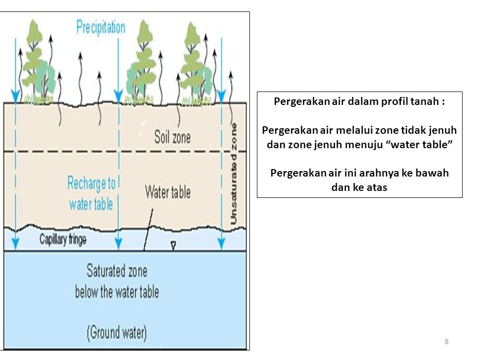Pergerakan air dalam profil tanah :