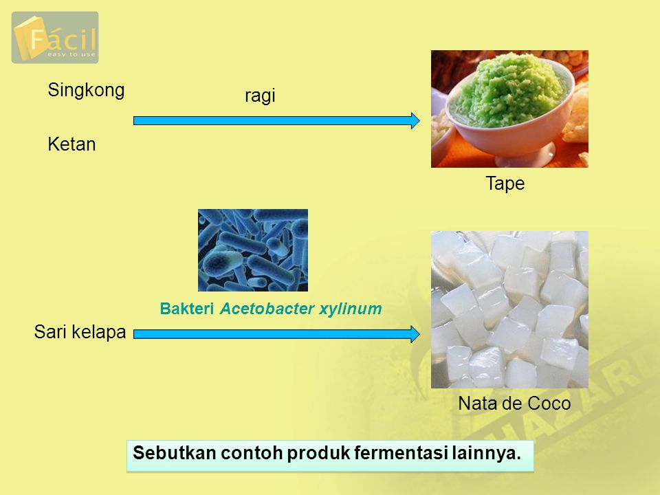 Sebutkan contoh produk fermentasi lainnya.