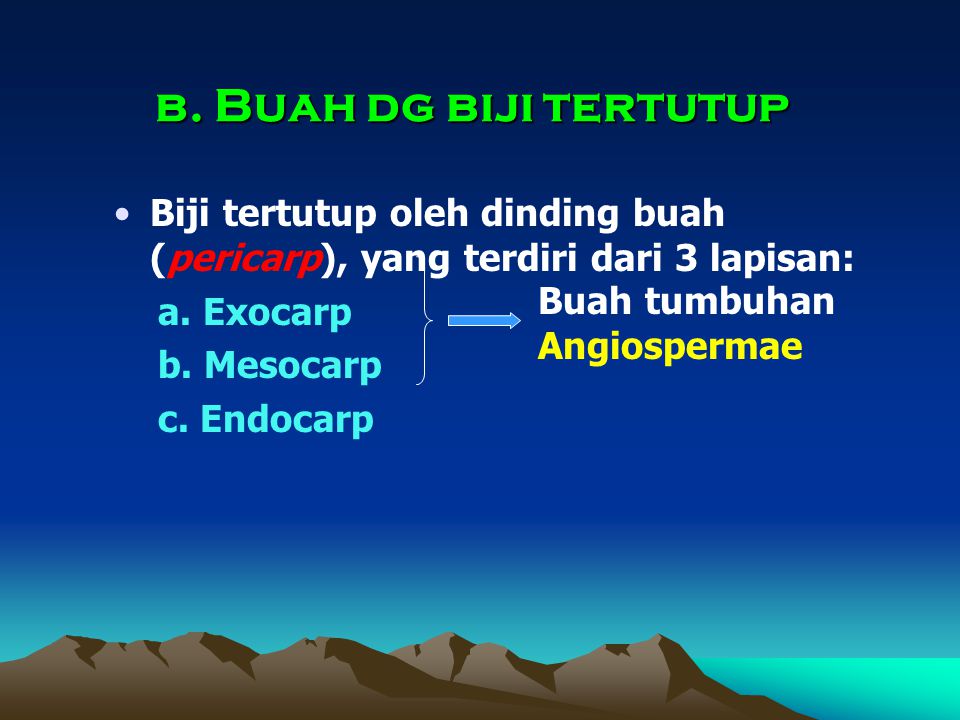 b. Buah dg biji tertutup Biji tertutup oleh dinding buah (pericarp), yang terdiri dari 3 lapisan: a. Exocarp.