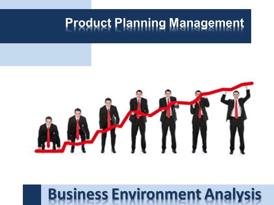 Business Environment Analysis