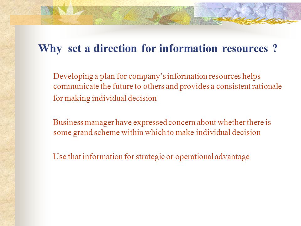 Why set a direction for information resources