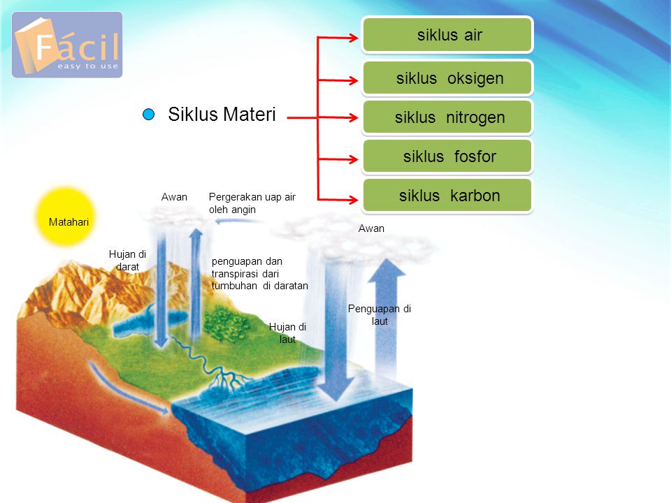 Siklus Materi siklus air siklus oksigen siklus nitrogen siklus fosfor