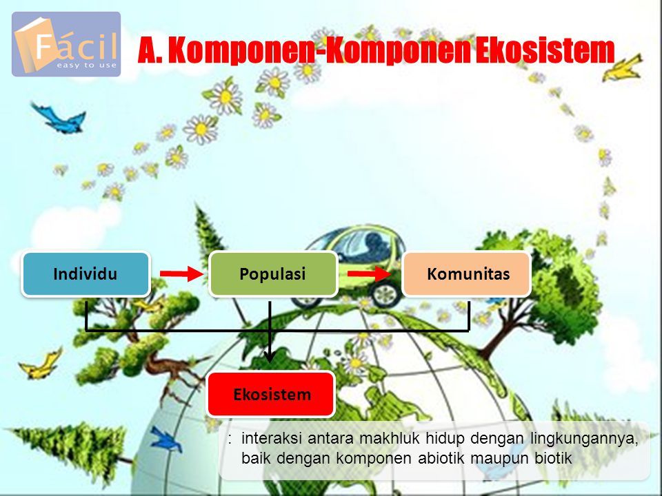 A. Komponen-Komponen Ekosistem