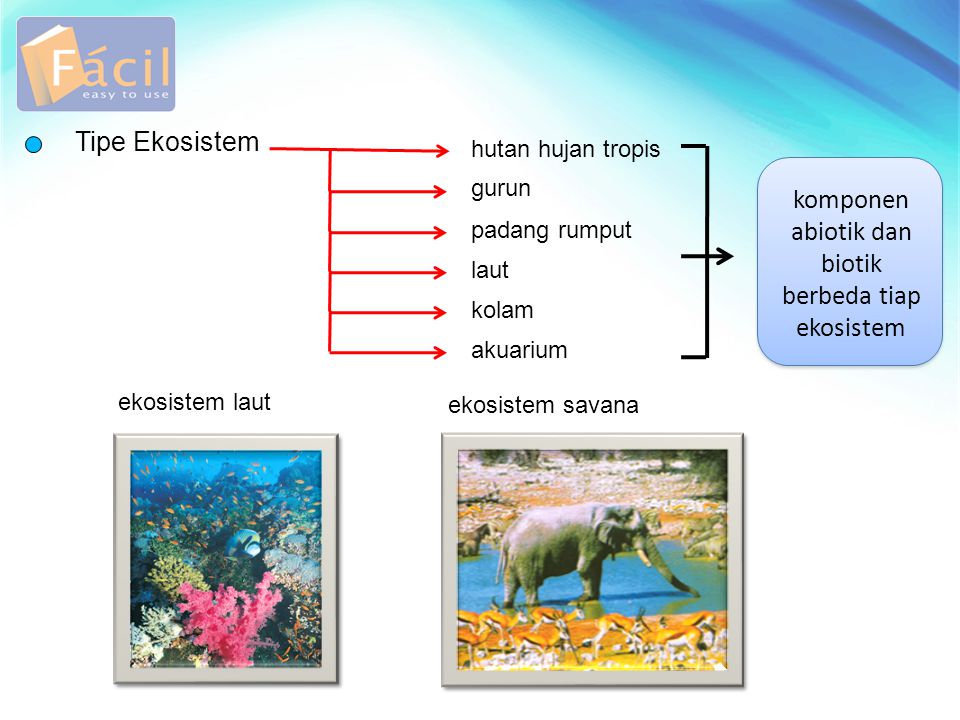 komponen abiotik dan biotik berbeda tiap ekosistem