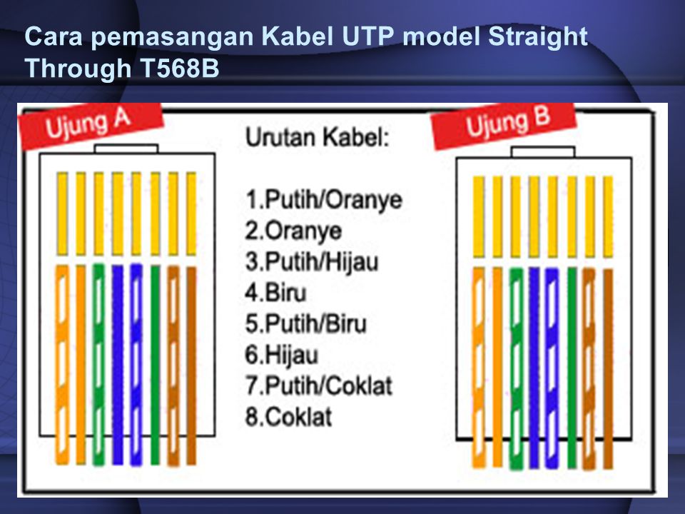 Cara pemasangan Kabel UTP model Straight Through T568B