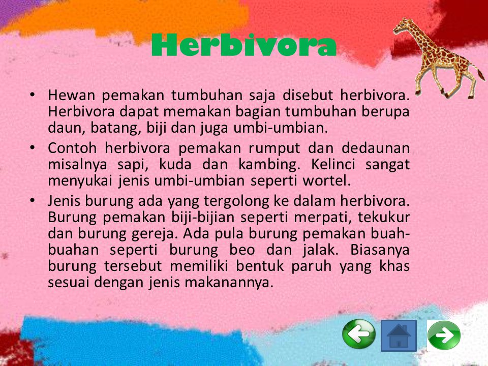 Herbivora Hewan pemakan tumbuhan saja disebut herbivora. Herbivora dapat memakan bagian tumbuhan berupa daun, batang, biji dan juga umbi-umbian.