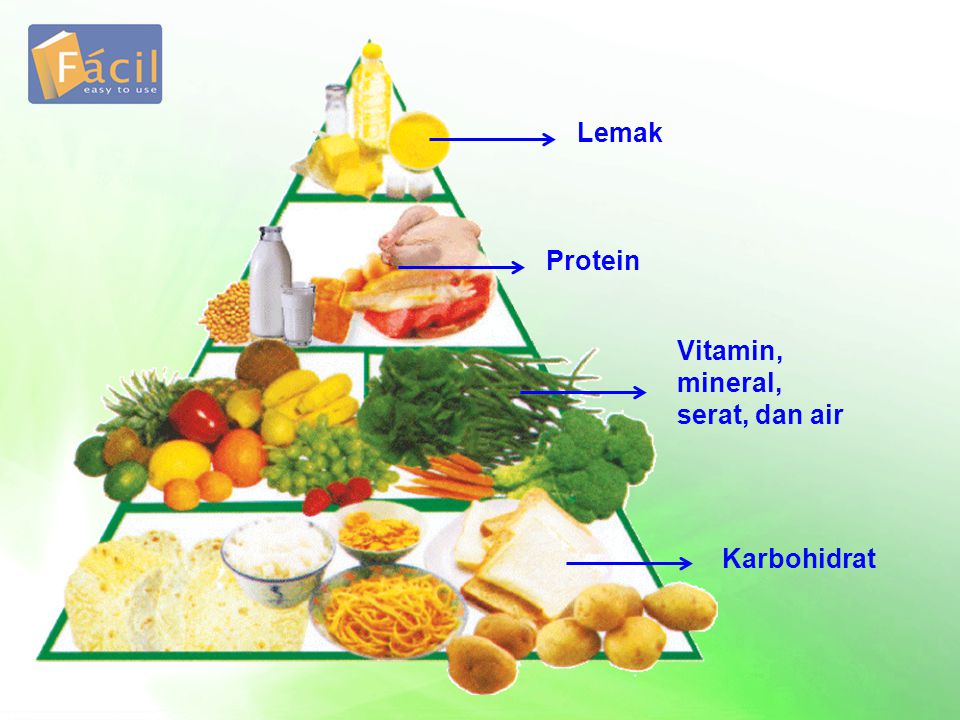 Contoh Makanan Yang Mengandung Karbohidrat Protein Lemak Vitamin Dan Mineral Temukan Contoh
