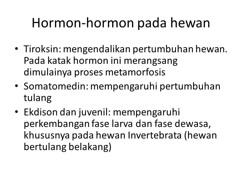 Hormon-hormon pada hewan