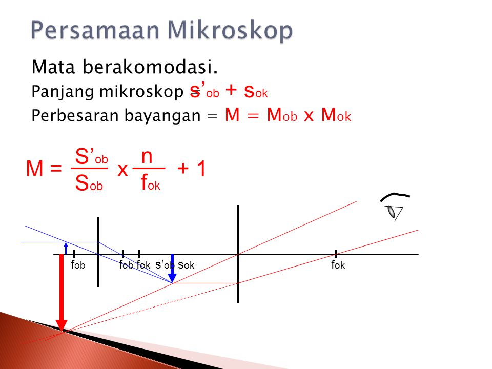 Persamaan Mikroskop s’ob + sok M = x + 1 S’ob Sob n fok