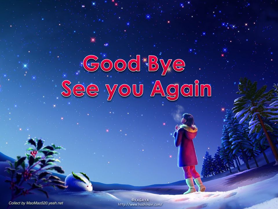Good Bye See you Again