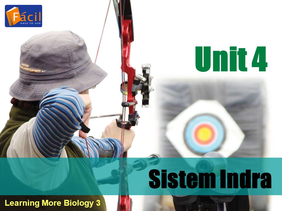 Unit 4 Sistem Indra Learning More Biology 3