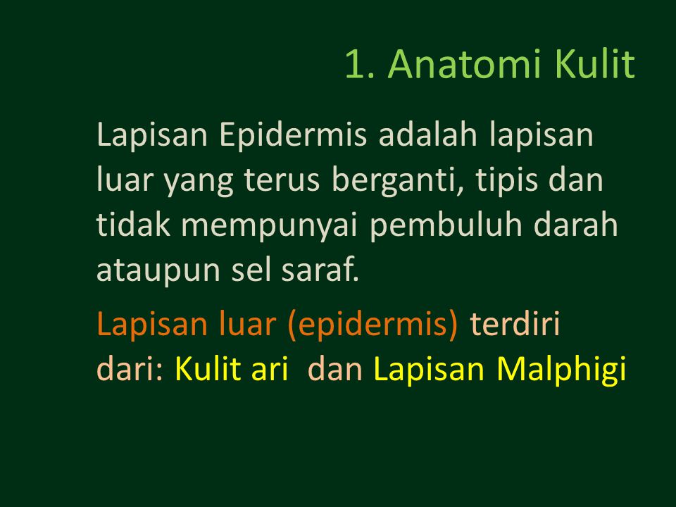 1. Anatomi Kulit Lapisan Epidermis adalah lapisan luar yang terus berganti, tipis dan tidak mempunyai pembuluh darah ataupun sel saraf.