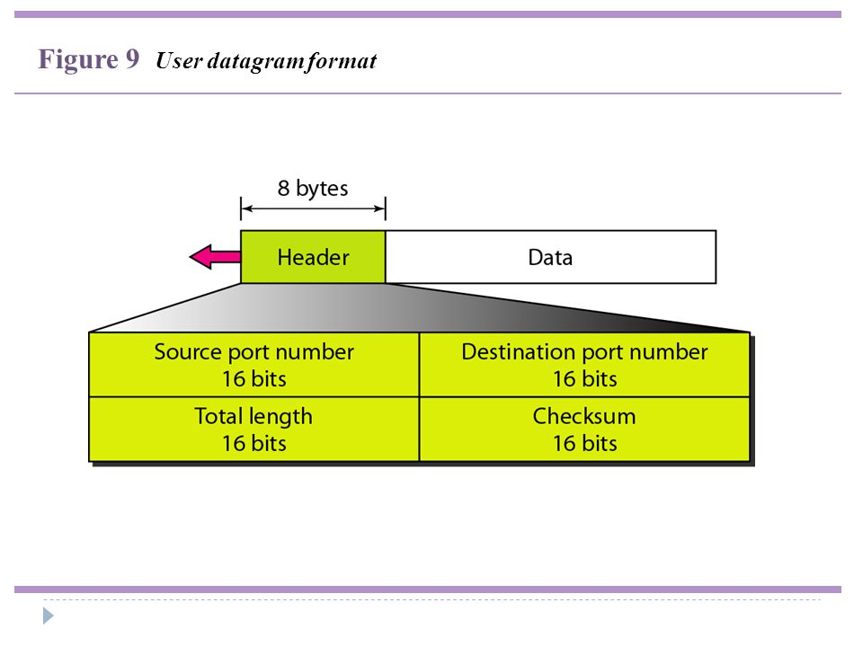 Figure 9 User datagram format