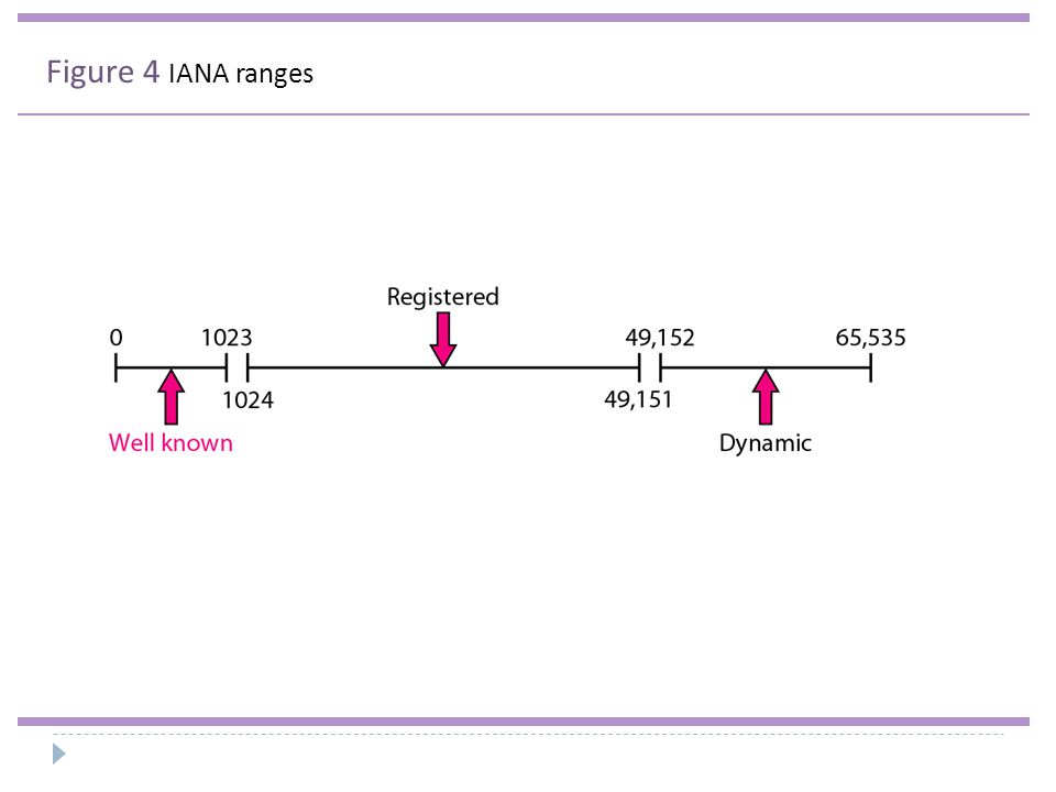 Figure 4 IANA ranges
