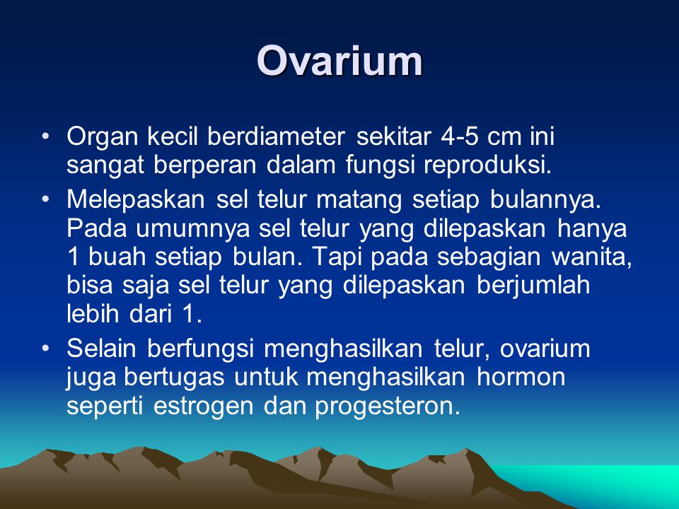 Ovarium Organ kecil berdiameter sekitar 4-5 cm ini sangat berperan dalam fungsi reproduksi.