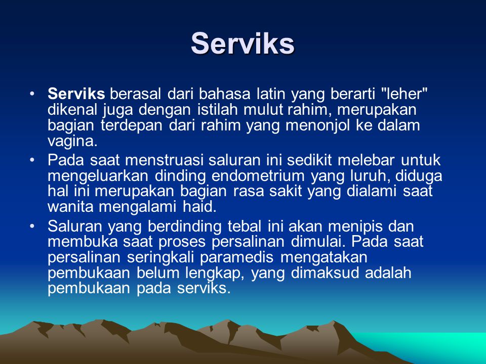 Serviks