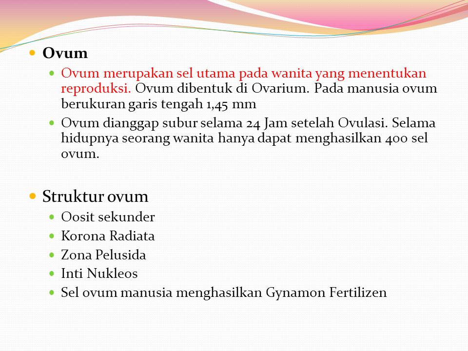 Ovum Ovum merupakan sel utama pada wanita yang menentukan reproduksi. Ovum dibentuk di Ovarium. Pada manusia ovum berukuran garis tengah 1,45 mm.