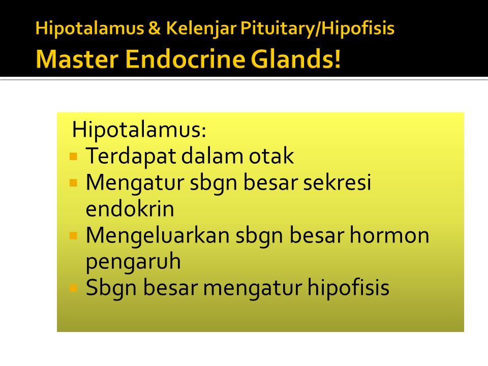 Hipotalamus & Kelenjar Pituitary/Hipofisis Master Endocrine Glands!