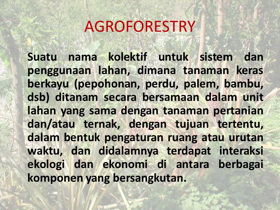 AGROFORESTRY