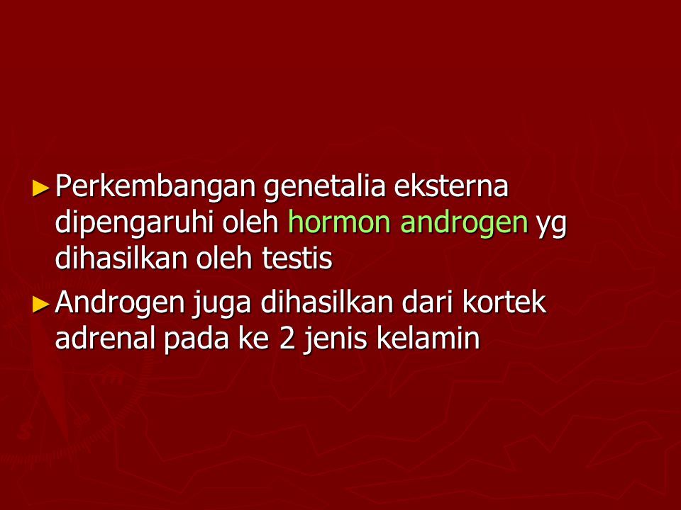 Perkembangan genetalia eksterna dipengaruhi oleh hormon androgen yg dihasilkan oleh testis