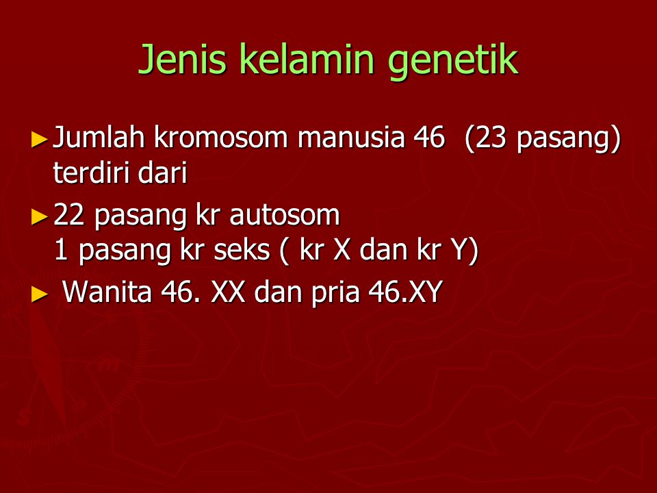 Jenis kelamin genetik Jumlah kromosom manusia 46 (23 pasang) terdiri dari.