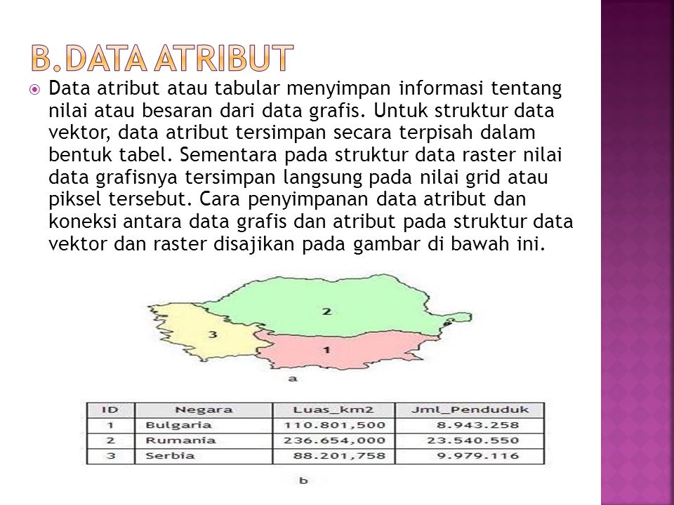 B.Data Atribut