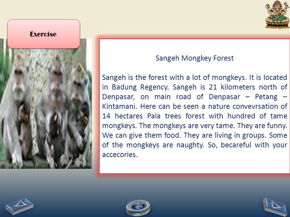 Exercise Sangeh Mongkey Forest.
