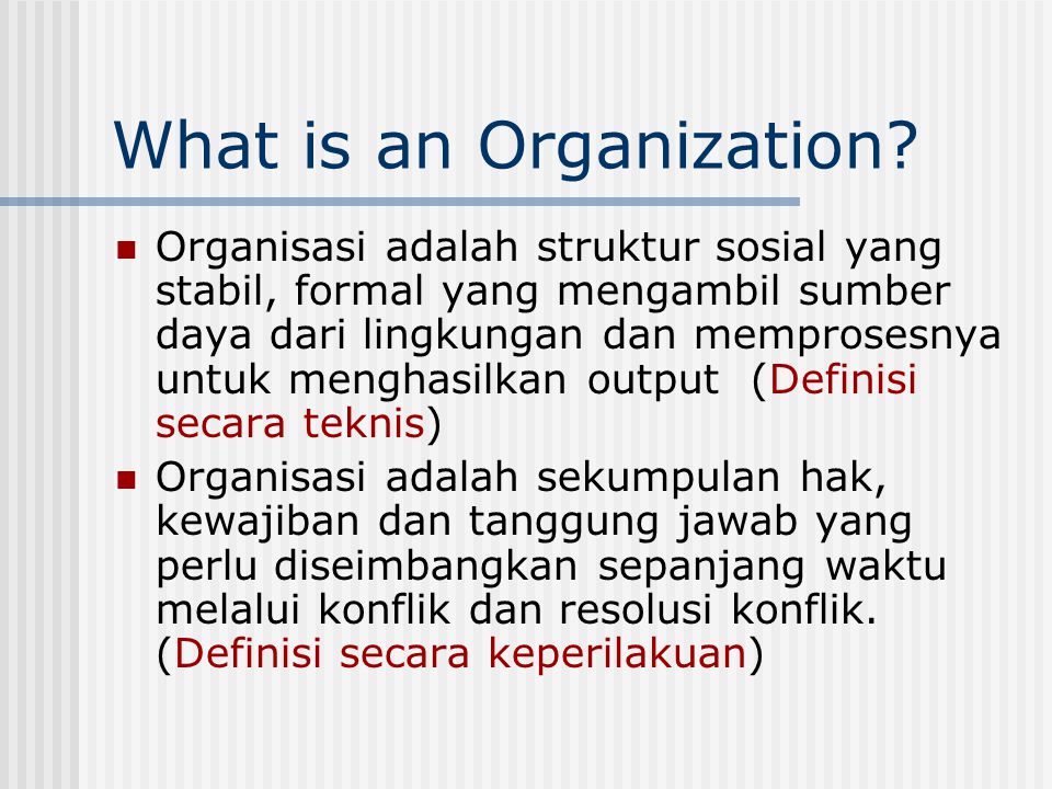 What is an Organization
