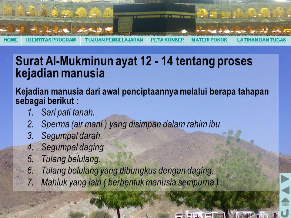 Surat Al-Mukminun ayat tentang proses kejadian manusia