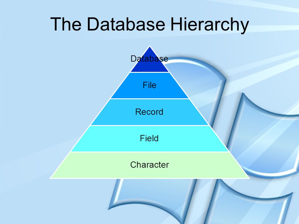 The Database Hierarchy
