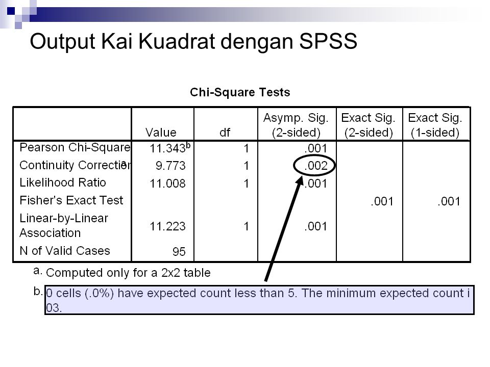 Output Kai Kuadrat dengan SPSS