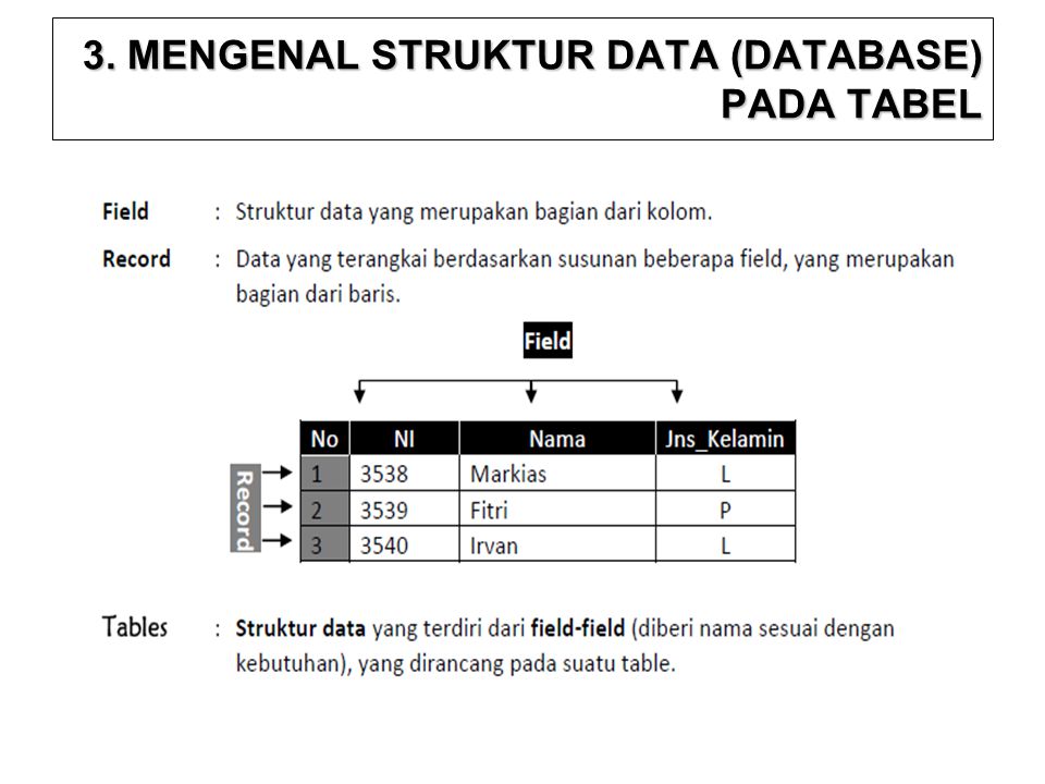 3. MENGENAL STRUKTUR DATA (DATABASE) PADA TABEL
