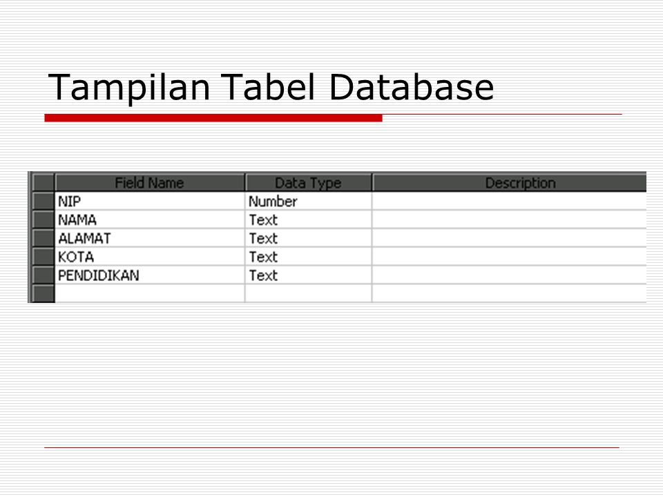 Tampilan Tabel Database