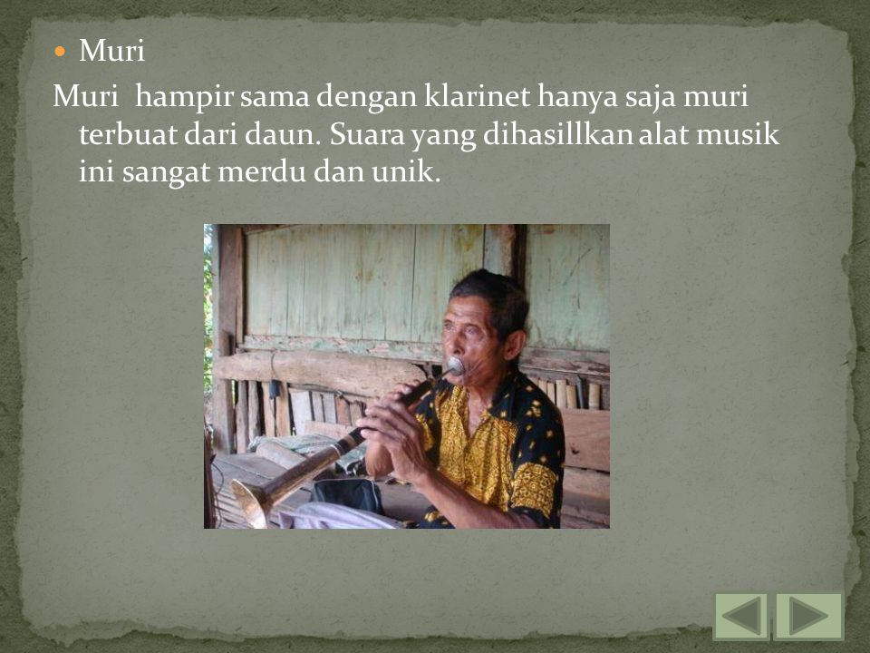 Muri Muri hampir sama dengan klarinet hanya saja muri terbuat dari daun.
