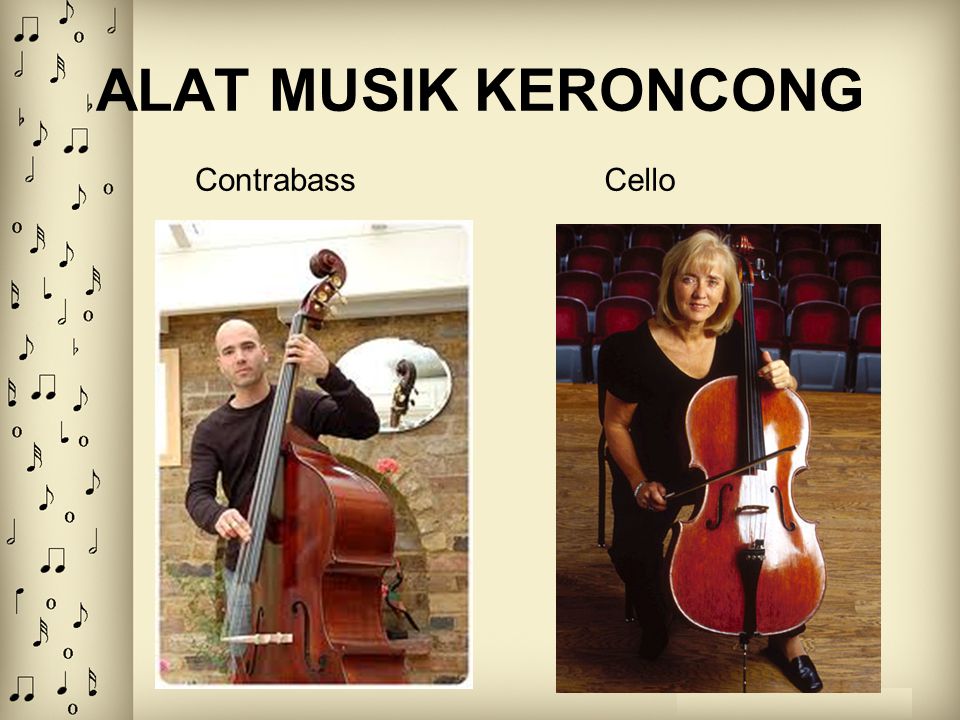 ALAT MUSIK KERONCONG Contrabass Cello