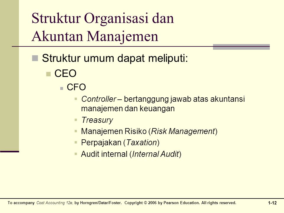 Struktur Organisasi dan Akuntan Manajemen