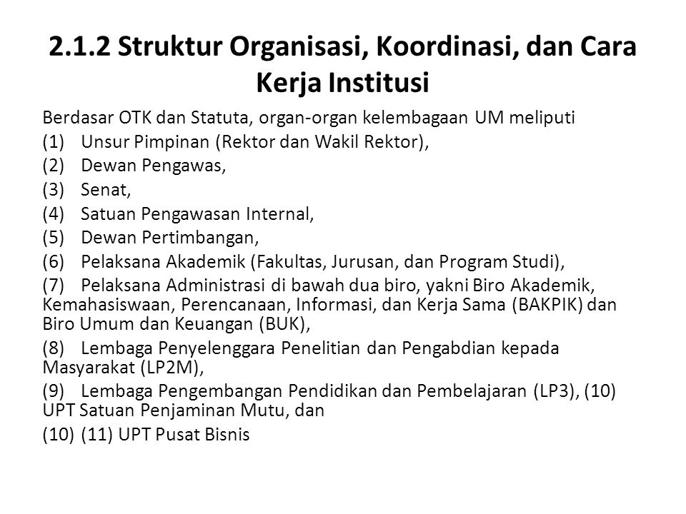 2.1.2 Struktur Organisasi, Koordinasi, dan Cara Kerja Institusi