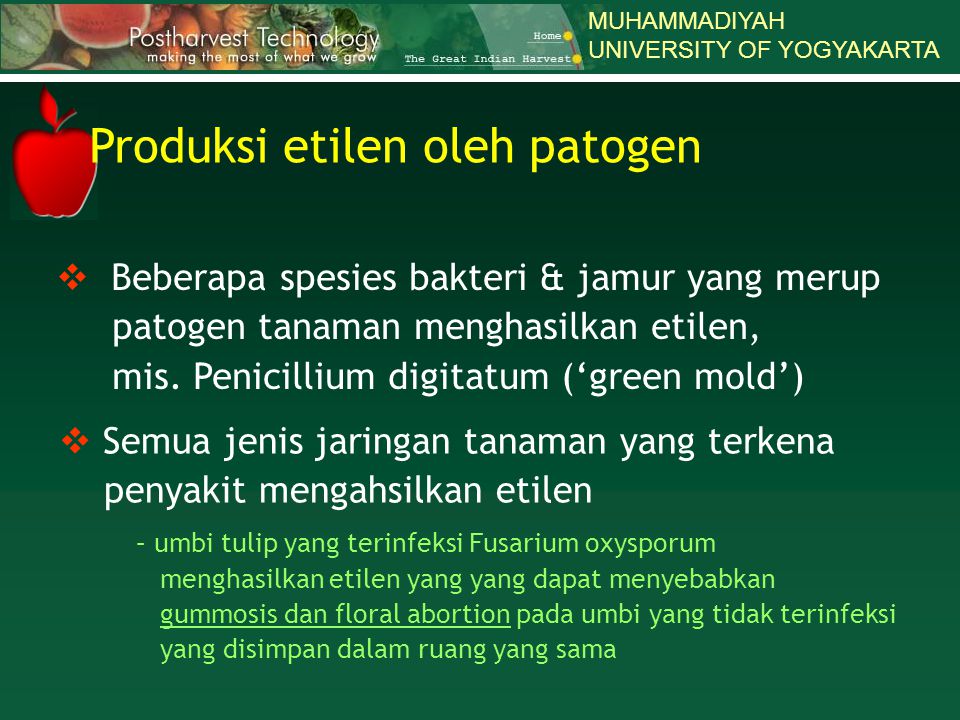 Produksi etilen oleh patogen
