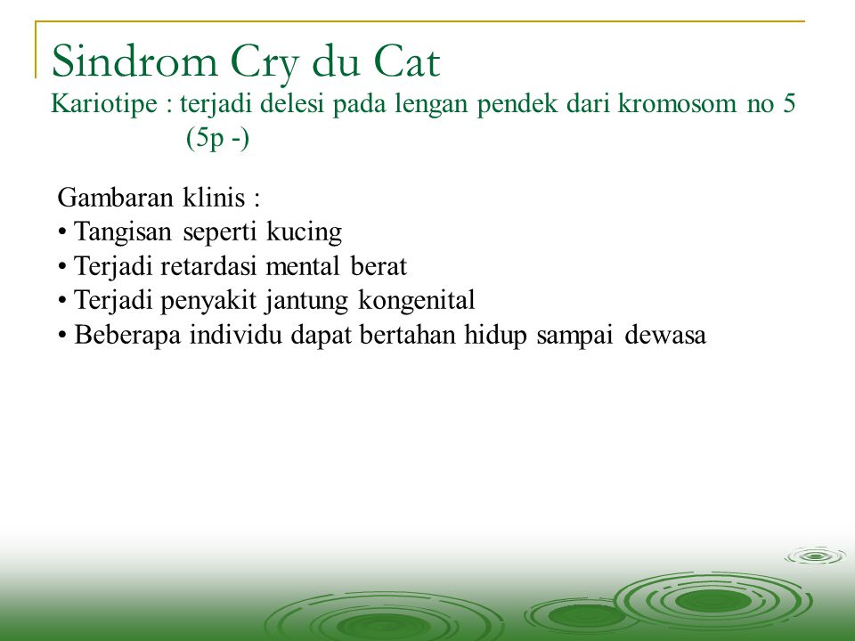 Sindrom Cry du Cat Kariotipe : terjadi delesi pada lengan pendek dari kromosom no 5. (5p -) Gambaran klinis :