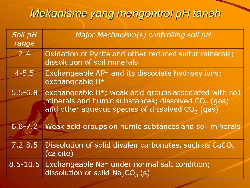 Mekanisme yang mengontrol pH tanah