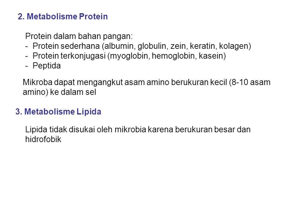 2. Metabolisme Protein Protein dalam bahan pangan: Protein sederhana (albumin, globulin, zein, keratin, kolagen)