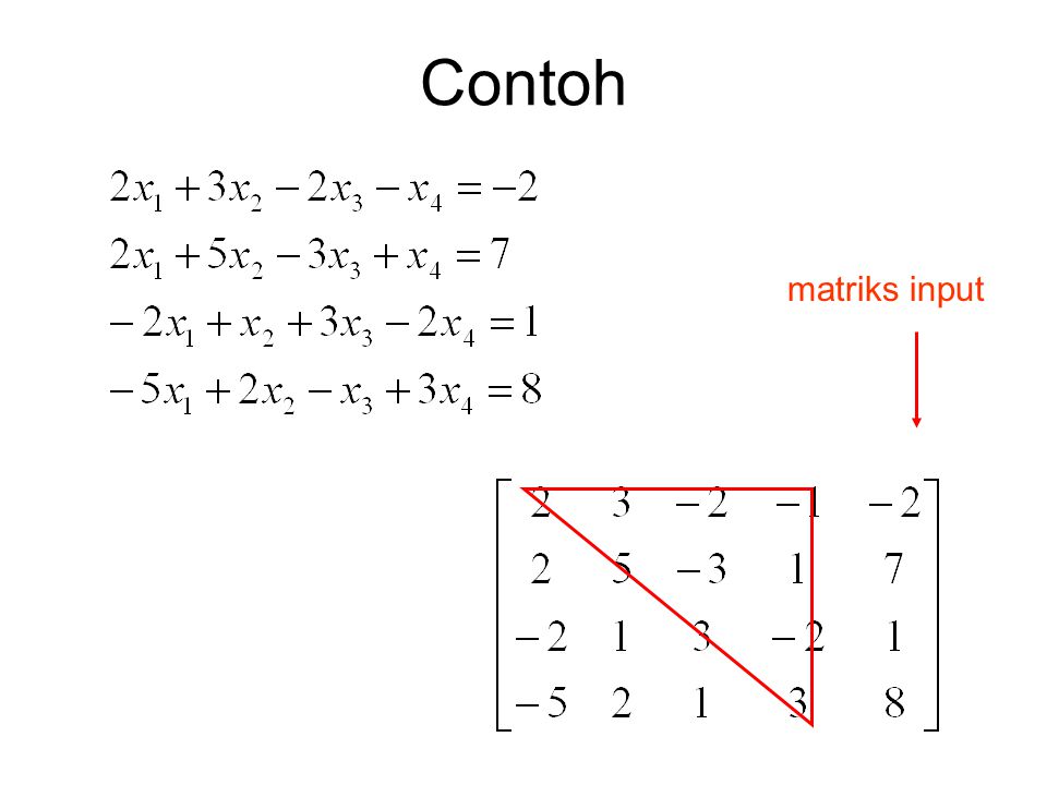Contoh matriks input