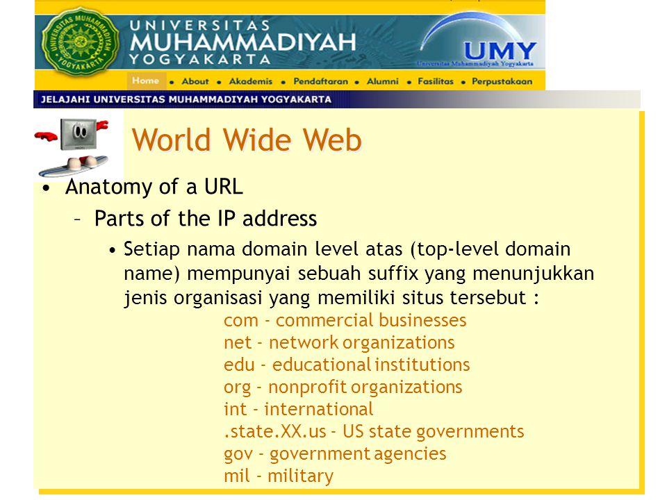 World Wide Web Anatomy of a URL Parts of the IP address