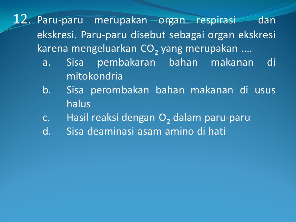 12. Paru-paru merupakan organ respirasi dan ekskresi